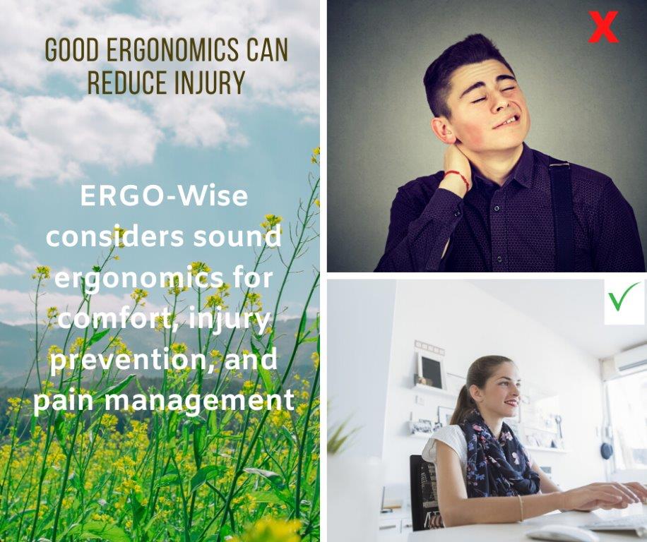 1-ERGO-Wise - good ergonomics can reduce injury